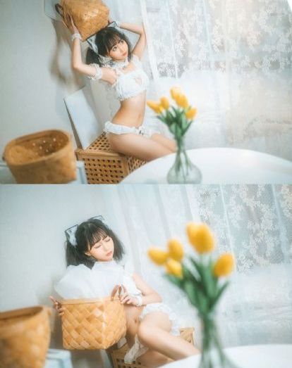不二神探免费观看国语版