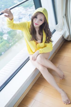 鬣狗之路电影完整版在线观看