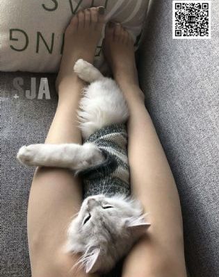 公主罗曼史