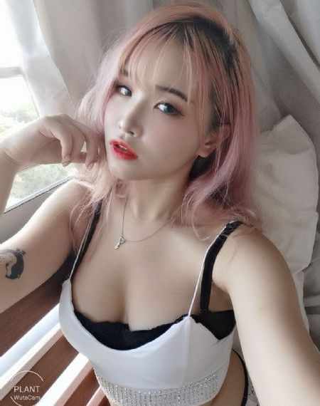 驯龙高手4