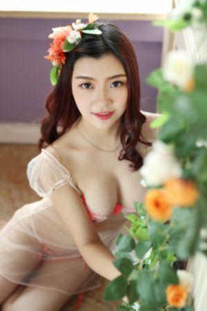 菲梦少女第二季免费观看26集全套