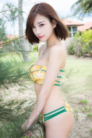 长相思第一季免费完整版