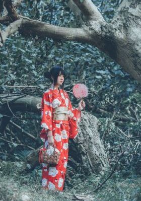 第三人称复仇