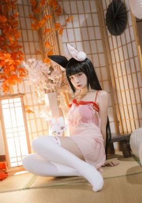 《轮回》电影在线观看