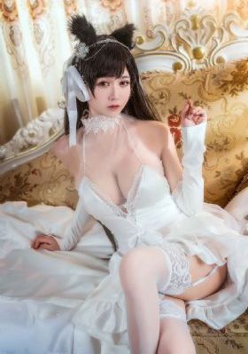 关于唐医生的一切免费观看